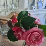 Apartment Le Citrus - Sejour Cosy En Plein Centre Historique Montaigu-Vendee