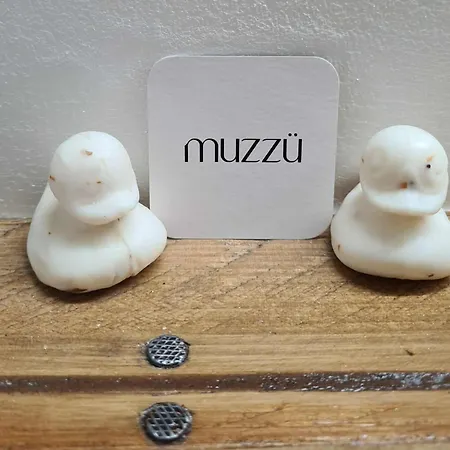 Le Citrus - Cosy En Plein Centre Historique