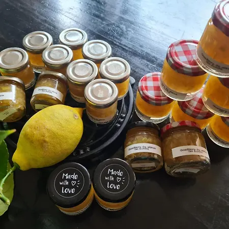 Le Citrus - Sejour Cosy En Plein Centre Historique Daire Montaigu-Vendee