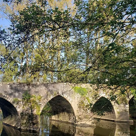 Le Citrus - Cosy En Plein Centre Historique Appartement