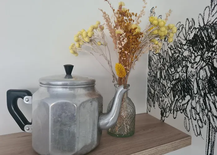 Le Citrus - Cosy En Plein Centre Historique Appartement