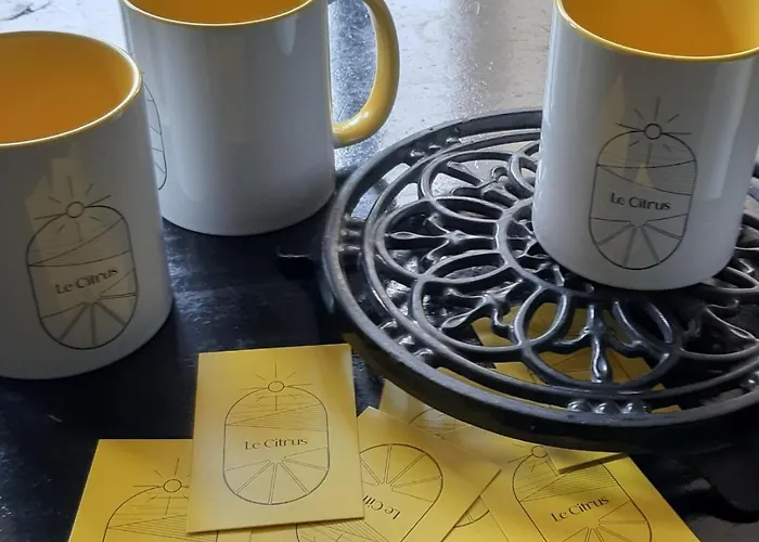 Appartement Le Citrus - Cosy En Plein Centre Historique