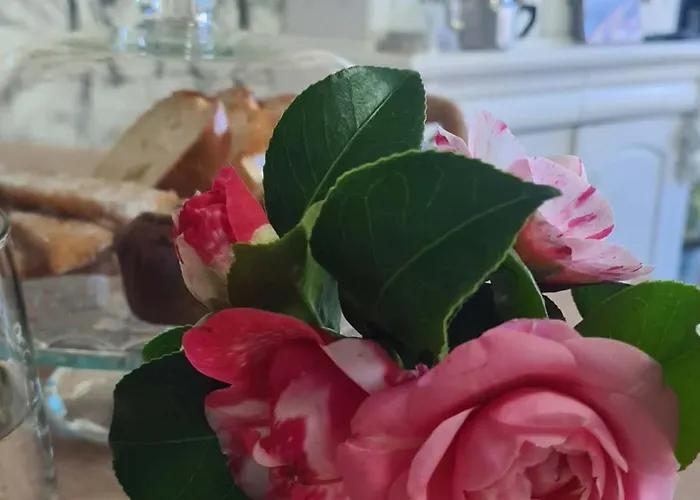 Appartement Le Citrus - Cosy En Plein Centre Historique Montaigu-Vendee