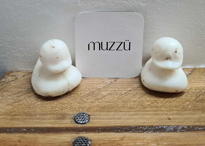 Le Citrus - Cosy En Plein Centre Historique