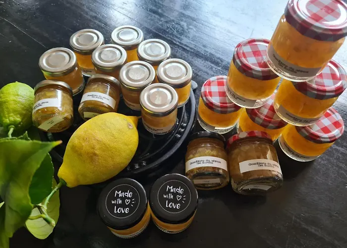 Le Citrus - Cosy En Plein Centre Historique Appartement Montaigu-Vendee