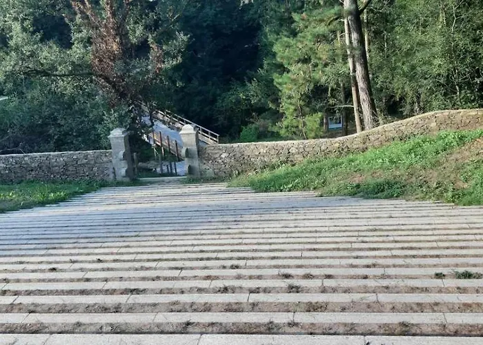 Le Citrus - Cosy En Plein Centre Historique Montaigu-Vendee