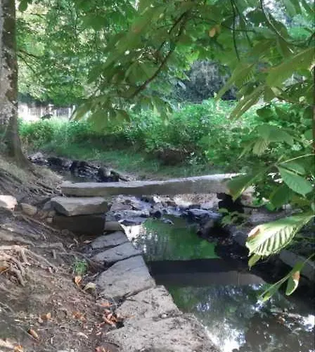 Le Citrus - Cosy En Plein Centre Historique Appartement *