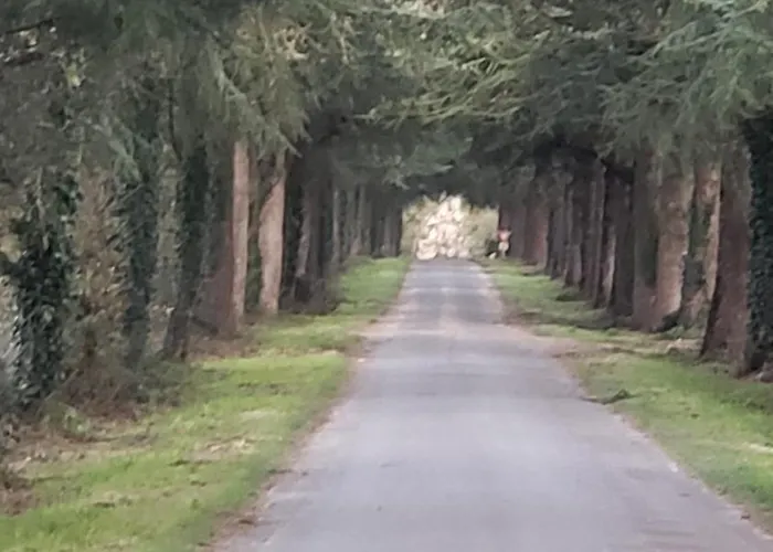 Le Citrus - Cosy En Plein Centre Historique Appartement Montaigu-Vendee