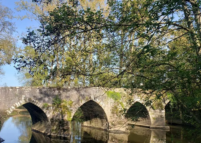 Le Citrus - Cosy En Plein Centre Historique Appartement